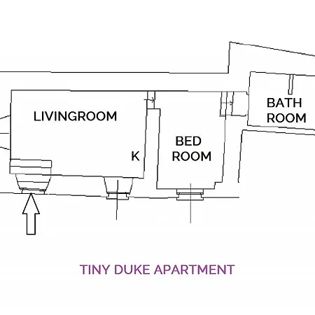 Tiny Duke Διαμέρισμα Βαρένα