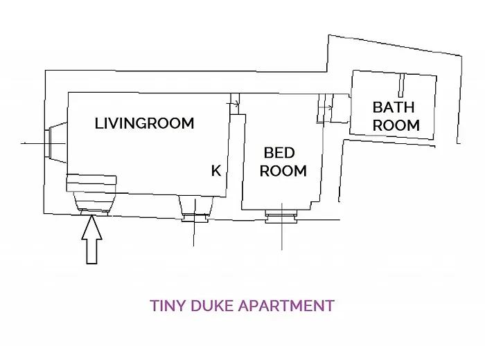 Tiny Duke 아파트 바레나